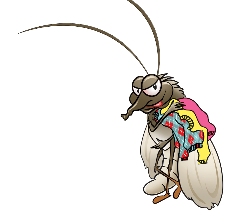bug
